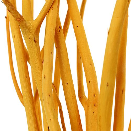 Floristik24 Decoratieve takken Mitsumata geel 45-60cm 12 st