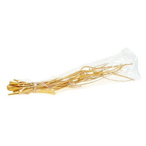 Floristik24 Decoratieve takken Mitsumata geel 45-60cm 12 st