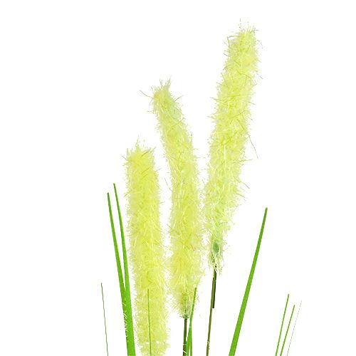 Floristik24 Uigras 68cm groen 6st