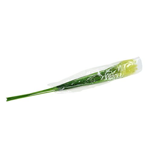 Floristik24 Uigras 68cm groen 6st