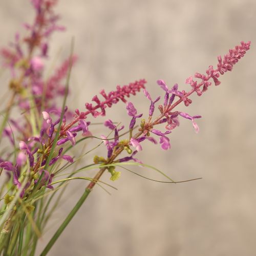 Artikel Decoratief groen met delicate bloesems voor een stijlvolle kamerinrichting (67 cm).