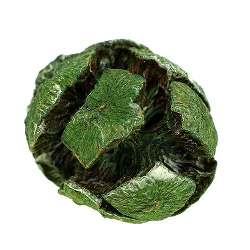Floristik24 Cipres kegels 3cm groen 500g