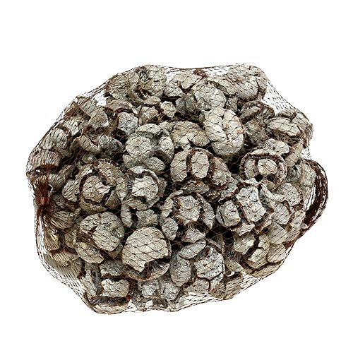 Artikel Cipres kegels 3cm wit gewassen 500g