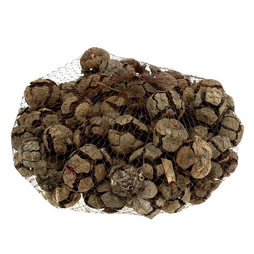 Artikel Cypress kegels natuur 3cm 500g