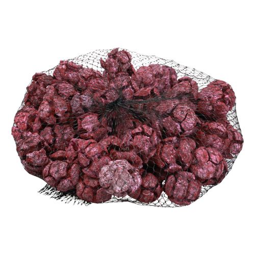 Artikel Cipres kegels mat natuurlijke decoratie 3cm donkerrood 500g