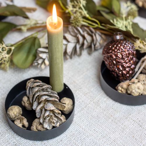 Floristik24 Cypress kegels natuur, kerstversiering, vergulde ambachtelijke kegels Ø2–3cm H2.5–3.5g 330g
