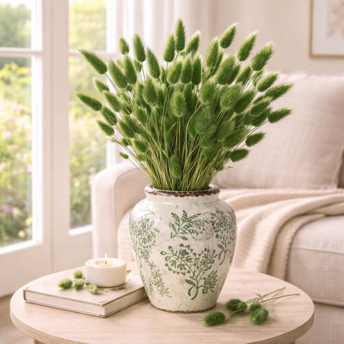 Artikel Gedroogd hazenstaartgras (Lagurus) 65-70 cm 100 g