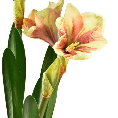 Artikel Amaryllis in mosbol kunst met roze-geel gedessineerde bloemen - 45 cm - Exotische en stijlvolle decoratie