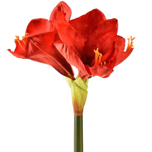 Floristik24 Kunstamaryllis in felrood - elegante bloemen voor luxueuze kamerdecoratie, 66 cm