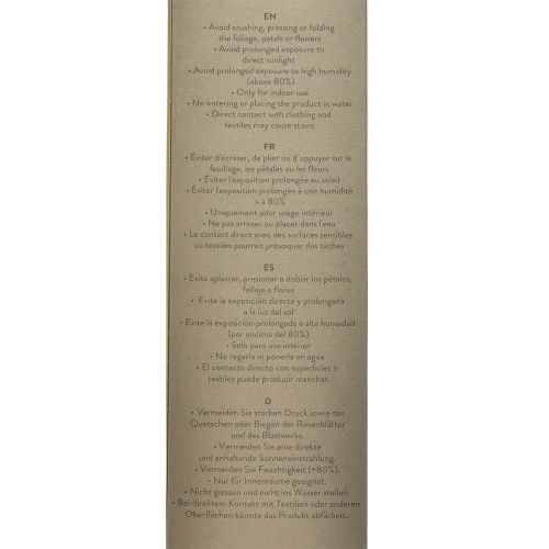 Artikel Infinity Roos met Bladeren Geconserveerd Amorosa Rood L54cm