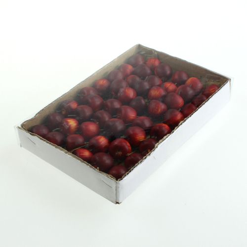Floristik24 Mini appels op draad 2cm 48 st
