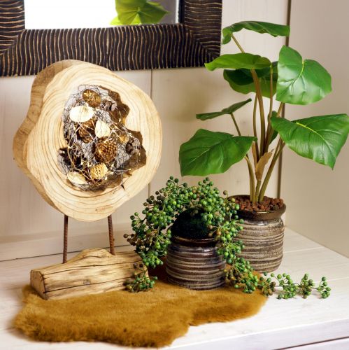 Floristik24 Rustieke houten ring op standaard - Natuurlijke houtnerf, 54 cm - Uniek sculptuur voor een stijlvolle woonomgeving