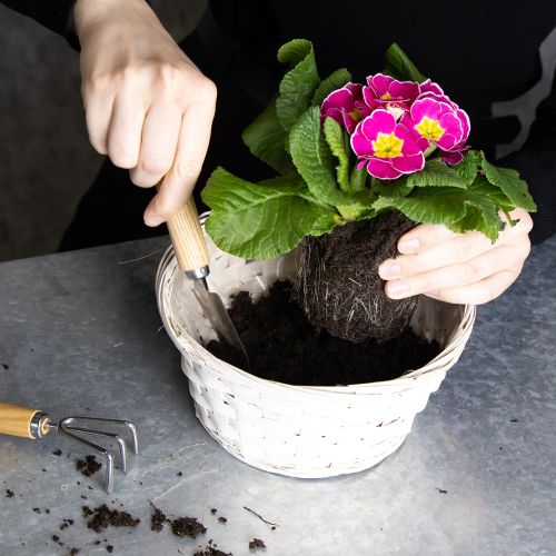 Artikel Decoratie met rieten manden voor een veelzijdig interieur, 20 cm, 8 stuks