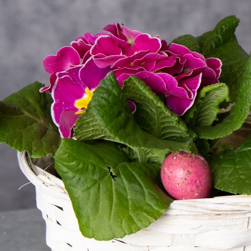 Artikel Decoratie met rieten manden voor een veelzijdig interieur, 20 cm, 8 stuks