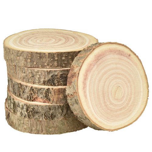 Floristik24 Boomschijf Paulownia klokjesboom naturel Ø12-14cm 6 st