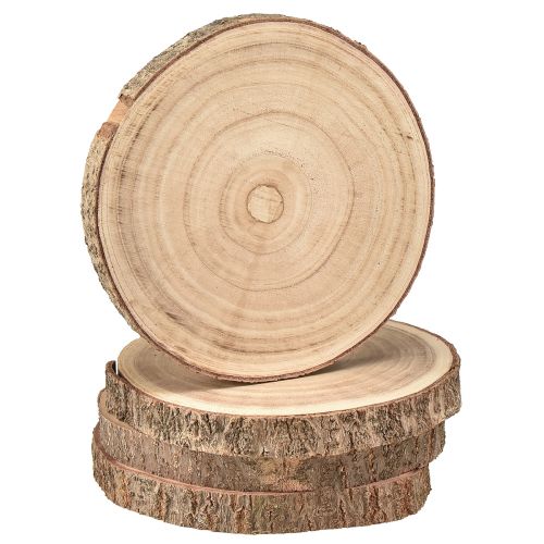 Floristik24 Boomschijf Paulownia houtdecoratie naturel Ø17-21cm 4 st