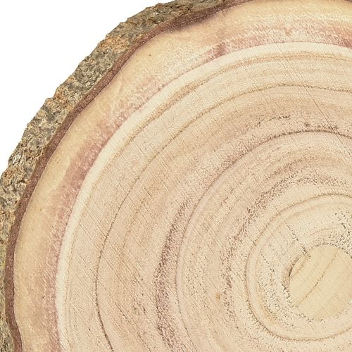 Floristik24 Boomschijf Paulownia houtdecoratie naturel Ø17-21cm 4 st