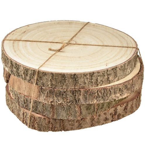 Floristik24 Boomschijf Paulownia houtdecoratie naturel Ø17-21cm 4 st