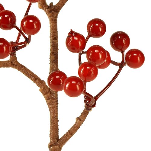 Floristik24 Helderrode bessentakken – Ideaal voor feestelijke decoraties, 30 cm – Set van 6