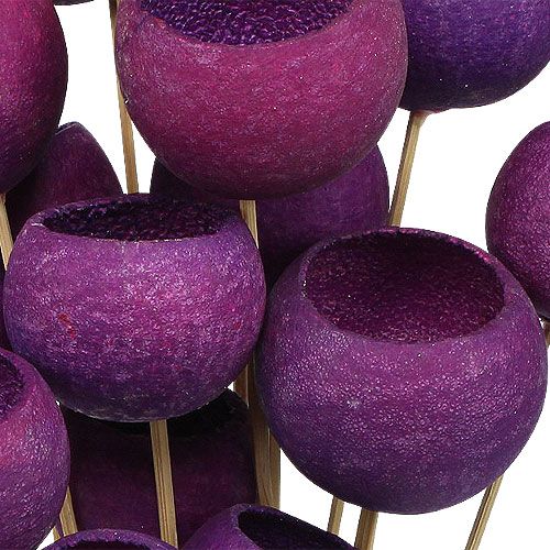 Floristik24 Bell Cup Mix op stokje Erika 15 st