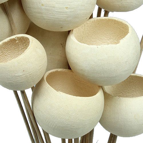 Floristik24 Bell Cup Mix op stokje gebleekt 15 st