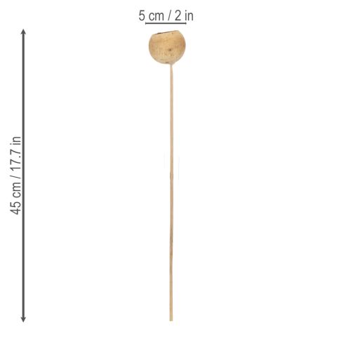 Artikel Bell Cup Mix op steel, natuurlijke exotische variëteiten, 15 stuks