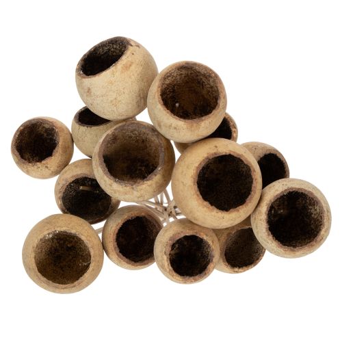 Artikel Bell Cup Mix op steel, natuurlijke exotische variëteiten, 15 stuks