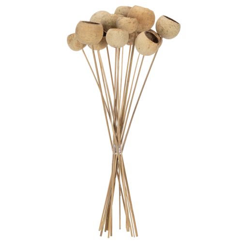 Artikel Bell Cup Mix op steel, natuurlijke exotische variëteiten, 15 stuks