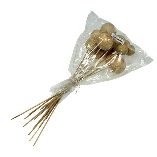 Artikel Bell Cup Mix op stokje Natural Exotics 15 st