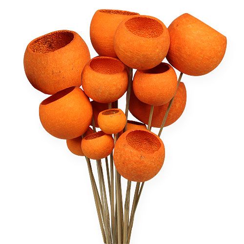 Floristik24 Bell Cup Mix op stokje oranje 15 st