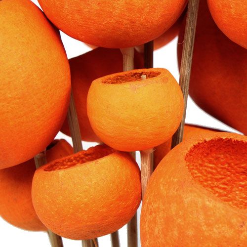 Floristik24 Bell Cup Mix op stokje oranje 15 st