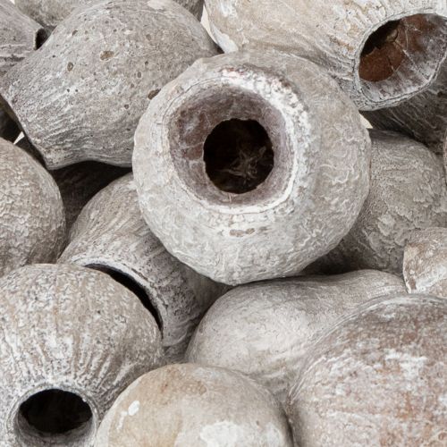 Artikel Bellgums witgekalkt 2cm - 5cm 500g