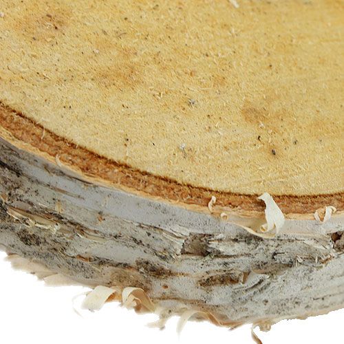 Berken schijfjes rond naturel 10 stuks