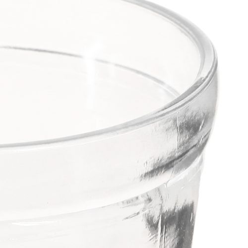 Artikel Bloempot glazen plantenbak transparant Ø11cm H10,5cm 2st