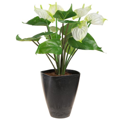 Artikel Orchideepot bloempot kunststof antraciet 13,5x13x16,5cm 4st