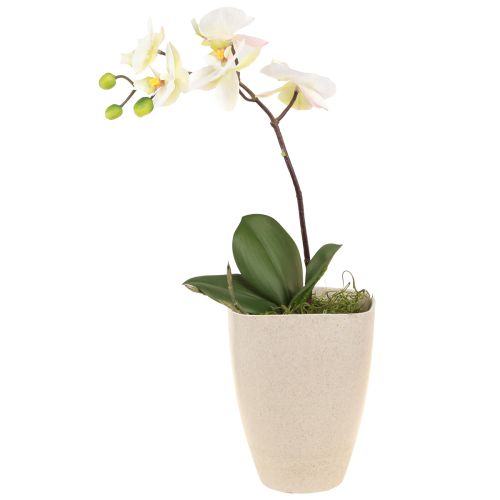 Artikel Orchideepot bloempot kunststof beige gemêleerd 13,5x13cm H16,5cm 4st