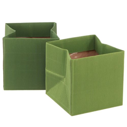Artikel Bloementas groen olijfgroen geribd met folie 10,5cm 6 st