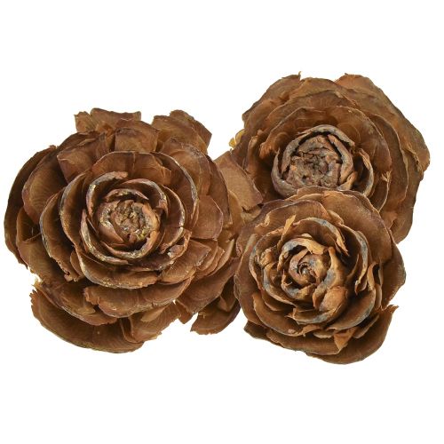 Artikel Kegels van cederhout geslepen als roos cederroos 4-6cm naturel 50 st