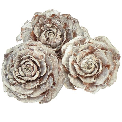 Artikel Cederkegels gesneden als roos cederroos 4-6cm wit/naturel 50 stuks