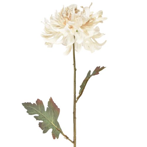 Floristik24 Chrysant Kunstmatige Decoratieve Bloemen Crème L72cm 2st