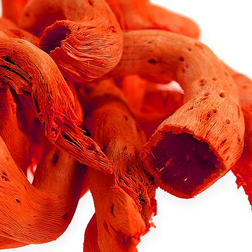 Floristik24 Cupy root in oranje 350g