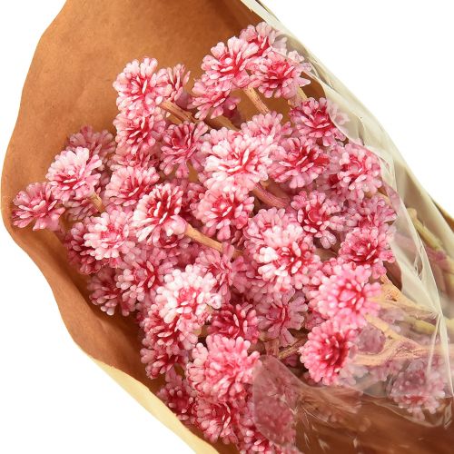 Artikel Currykruid Immortelle Kunstroze L28cm 12 stuks 1 bos