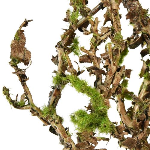 Artikel Decoratieve tak met mos kunst herfstdecoratie grijsgroen L78cm