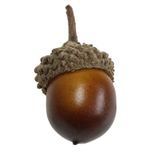 Floristik24 Decoratieve eikels 3cm 36p