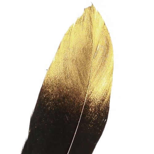 Artikel Decoratieve veren zwart goud echte ganzenveren 15-20cm 50st