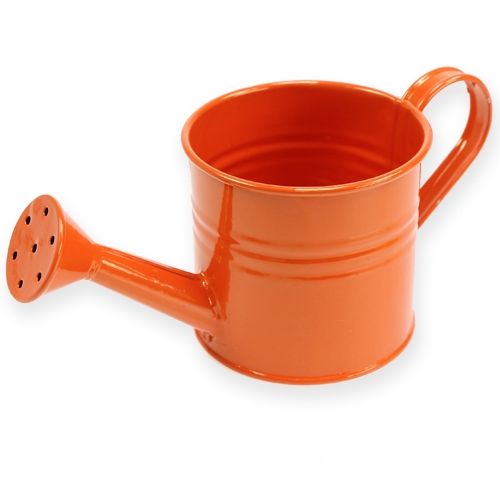 Floristik24 Gieter Ø11cm H9cm 8st. geassorteerde kleuren