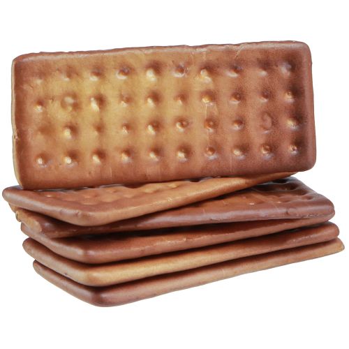 Floristik24 Decoratieve koekjes kunstvoeding 9×4cm 24 st