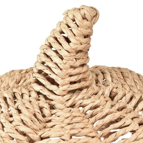 Artikel Decoratieve pompoen raffia naturel rustieke herfstdecoratie Ø25cm H25cm