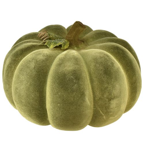 Artikel Decoratieve pompoen gevlokt groen – fluweelzachte, prachtige herfstdecoratie 32cm