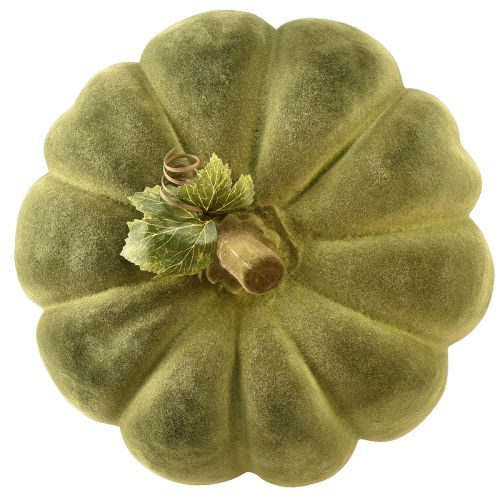 Artikel Decoratieve pompoen gevlokt groen – fluweelzachte, prachtige herfstdecoratie 32cm